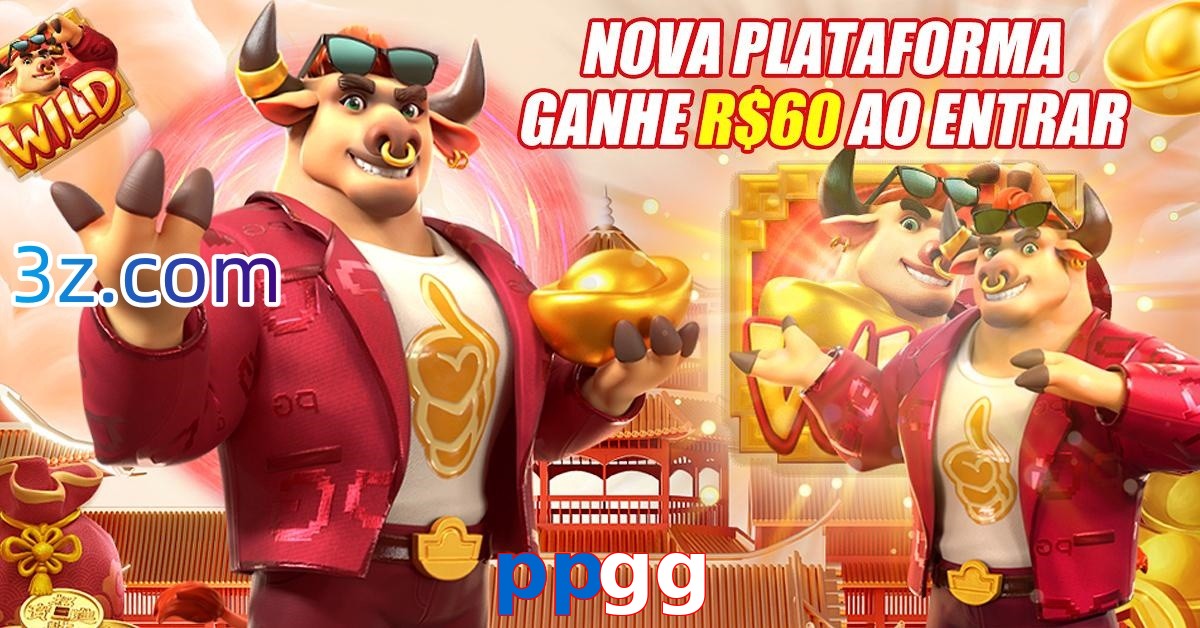 ppgg.com